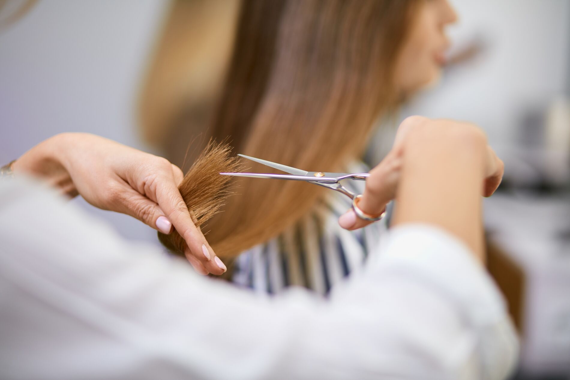 AdobeStock_316550425